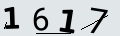 verifycode